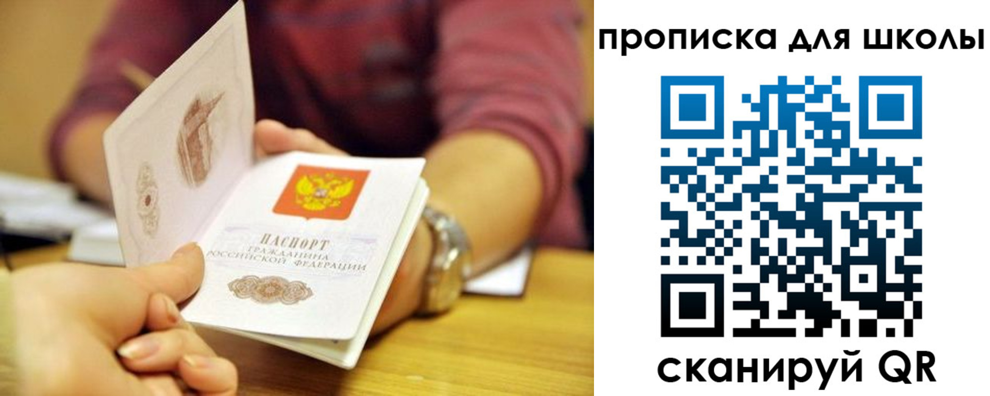 прописка гарантия в Гвардейске
